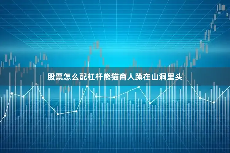 股票怎么配杠杆熊猫商人蹲在山洞里头