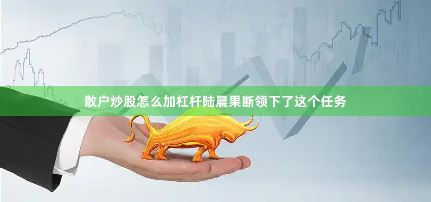 散户炒股怎么加杠杆陆晨果断领下了这个任务